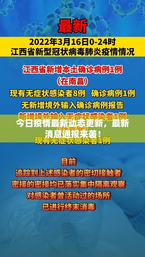 今日疫情最新動態(tài)更新，最新消息通報(bào)來襲！
