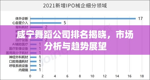 咸寧舞蹈公司排名揭曉，市場分析與趨勢展望