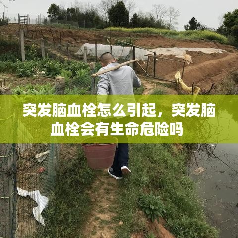 突發(fā)腦血栓怎么引起，突發(fā)腦血栓會有生命危險嗎 