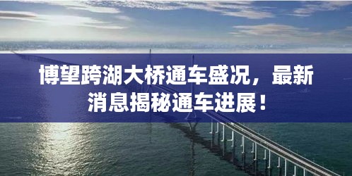 博望跨湖大橋通車盛況，最新消息揭秘通車進展！