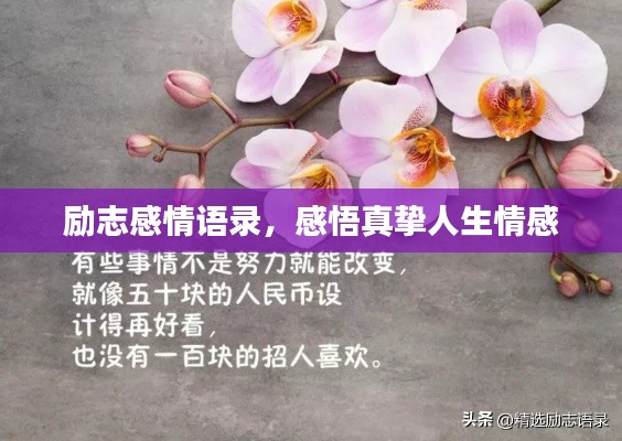 勵(lì)志感情語(yǔ)錄，感悟真摯人生情感