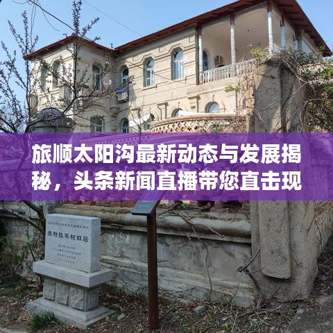 旅順太陽溝最新動態(tài)與發(fā)展揭秘，頭條新聞直播帶您直擊現(xiàn)場
