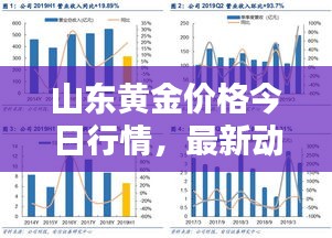山東黃金價(jià)格今日行情，最新動態(tài)、深度分析與查詢
