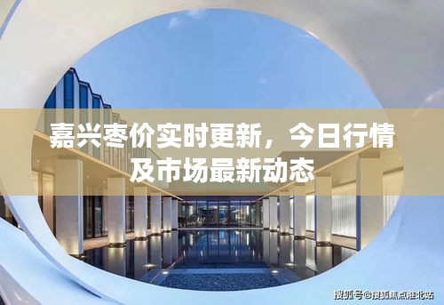 嘉興棗價(jià)實(shí)時(shí)更新，今日行情及市場(chǎng)最新動(dòng)態(tài)