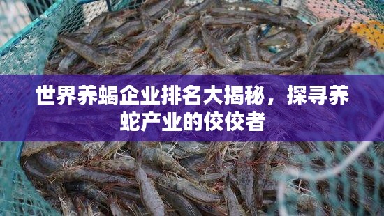 世界養(yǎng)蝎企業(yè)排名大揭秘，探尋養(yǎng)蛇產(chǎn)業(yè)的佼佼者