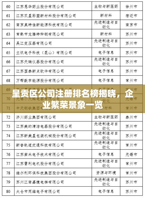 呈貢區(qū)公司注冊排名榜揭曉，企業(yè)繁榮景象一覽