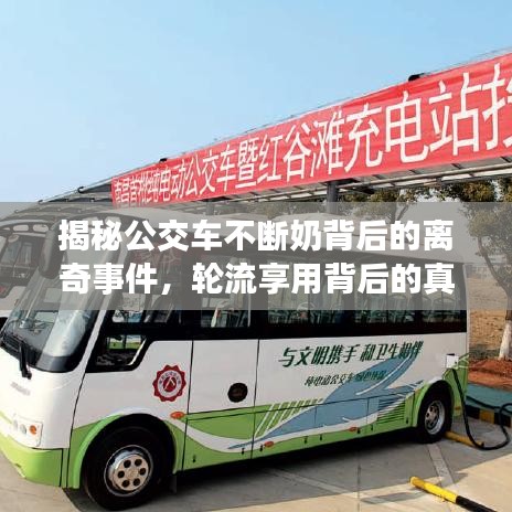 揭秘公交車不斷奶背后的離奇事件，輪流享用背后的真相探究