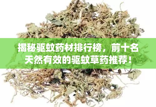 揭秘驅(qū)蚊藥材排行榜，前十名天然有效的驅(qū)蚊草藥推薦！