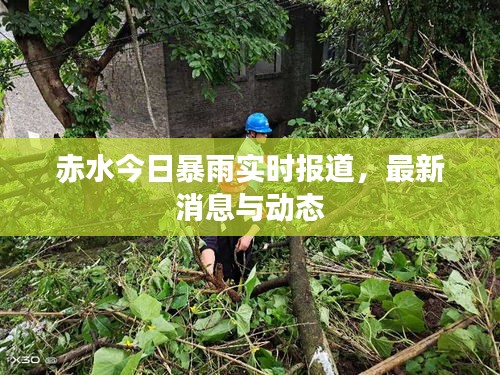 赤水今日暴雨實時報道，最新消息與動態(tài)