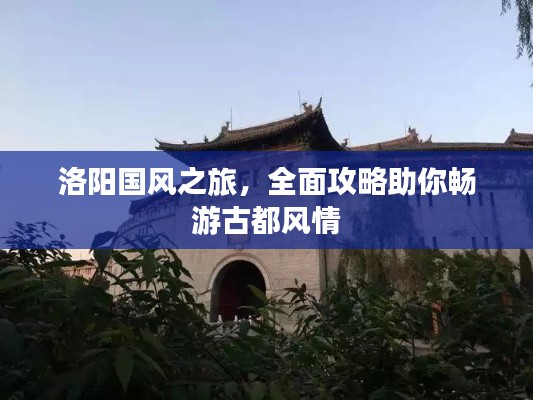 洛陽國風(fēng)之旅，全面攻略助你暢游古都風(fēng)情