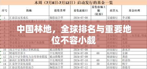 中國(guó)林地，全球排名與重要地位不容小覷