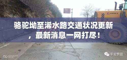 駱駝坳至浠水路交通狀況更新，最新消息一網(wǎng)打盡！