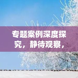 專題案例深度探究，靜待觀察，揭秘未知
