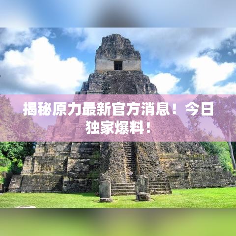 揭秘原力最新官方消息！今日獨家爆料！