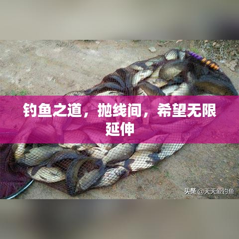 釣魚之道，拋線間，希望無限延伸