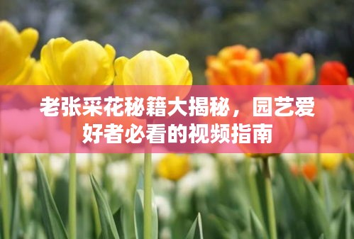 標(biāo)新競異 第2頁