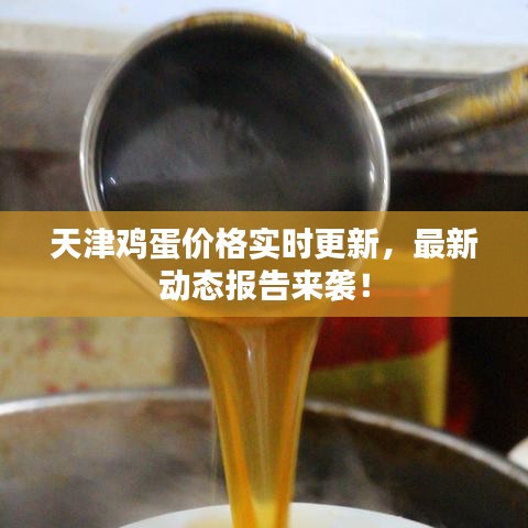 天津雞蛋價格實時更新，最新動態(tài)報告來襲！
