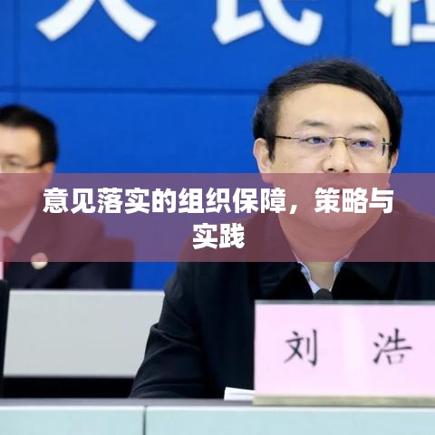 意見落實(shí)的組織保障，策略與實(shí)踐