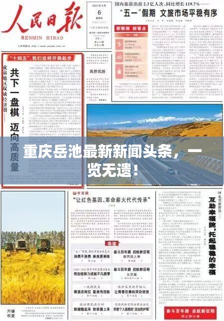 重慶岳池最新新聞頭條，一覽無遺！