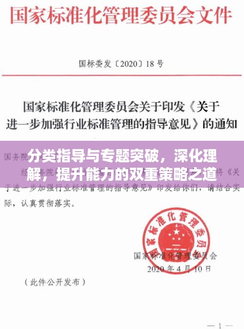 分類指導(dǎo)與專題突破，深化理解，提升能力的雙重策略之道