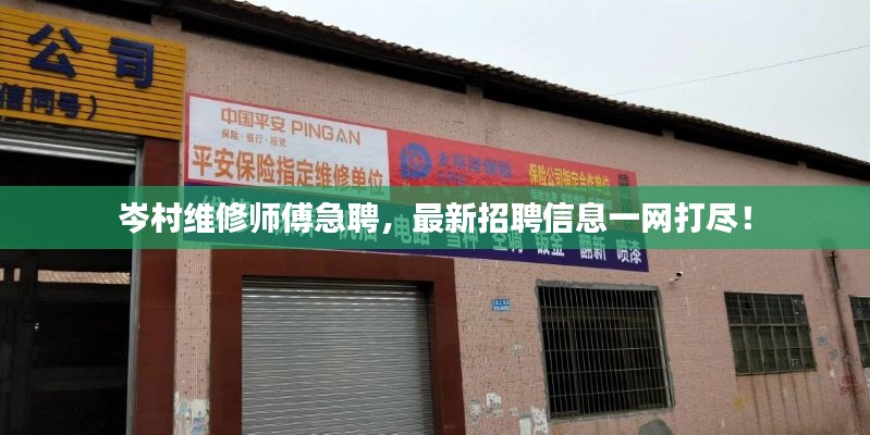 岑村維修師傅急聘，最新招聘信息一網(wǎng)打盡！