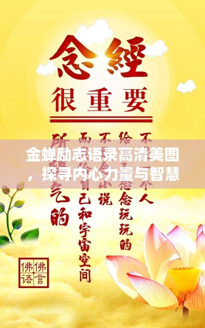 金蟬勵志語錄高清美圖，探尋內(nèi)心力量與智慧，激發(fā)無限潛能！