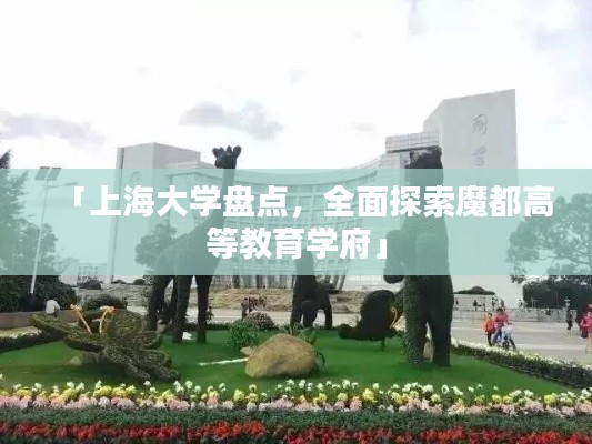 「上海大學(xué)盤點(diǎn)，全面探索魔都高等教育學(xué)府」