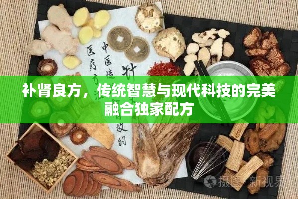 補(bǔ)腎良方，傳統(tǒng)智慧與現(xiàn)代科技的完美融合獨(dú)家配方