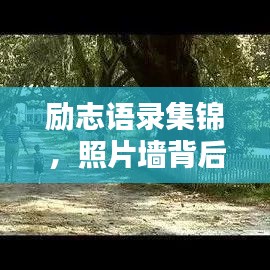 勵志語錄集錦，照片墻背后的力量