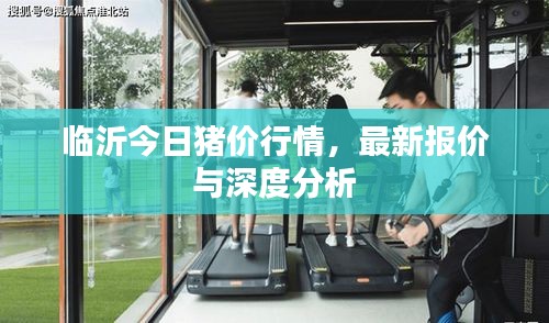 真獨簡貴 第2頁