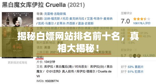 揭秘白嫖網(wǎng)站排名前十名，真相大揭秘！