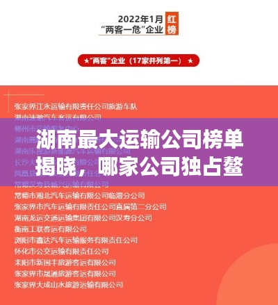 湖南最大運輸公司榜單揭曉，哪家公司獨占鰲頭？