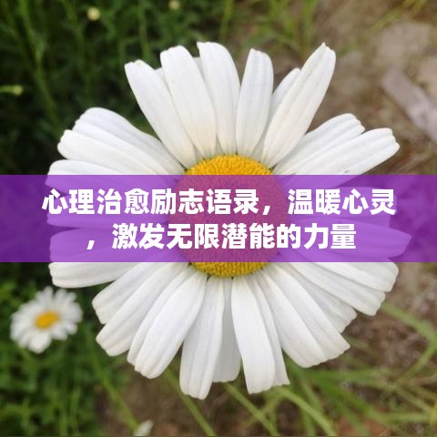 心理治愈勵志語錄，溫暖心靈，激發(fā)無限潛能的力量
