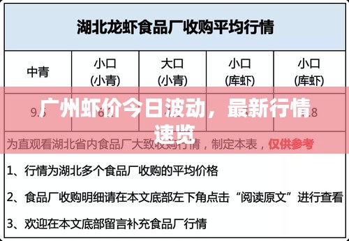 廣州蝦價今日波動，最新行情速覽