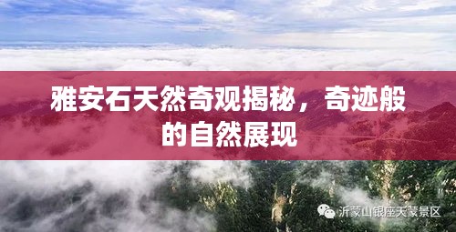 雅安石天然奇觀揭秘，奇跡般的自然展現(xiàn)