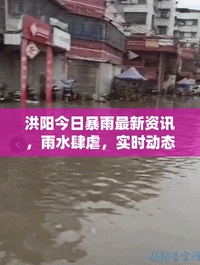 洪陽(yáng)今日暴雨最新資訊，雨水肆虐，實(shí)時(shí)動(dòng)態(tài)關(guān)注！