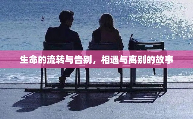 生命的流轉(zhuǎn)與告別，相遇與離別的故事