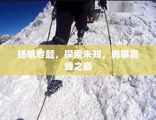 揚(yáng)帆專題，探索未知，勇攀高峰之巔