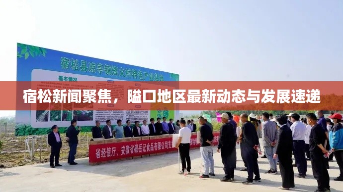 宿松新聞聚焦，隘口地區(qū)最新動(dòng)態(tài)與發(fā)展速遞