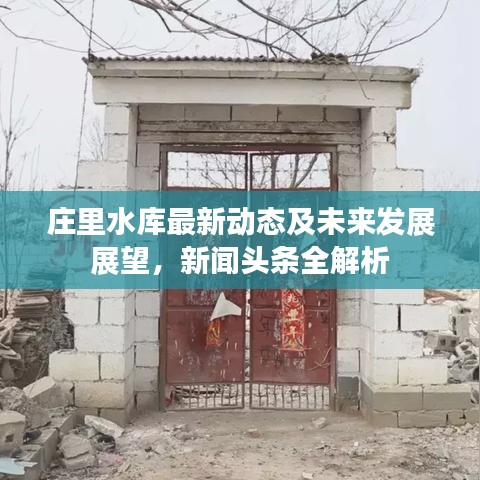 莊里水庫最新動(dòng)態(tài)及未來發(fā)展展望，新聞?lì)^條全解析