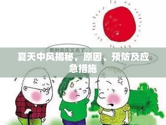 夏天中風(fēng)揭秘，原因、預(yù)防及應(yīng)急措施