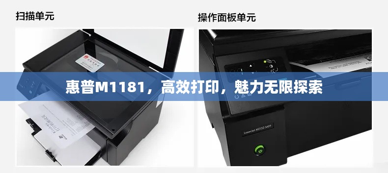 惠普M1181，高效打印，魅力無(wú)限探索
