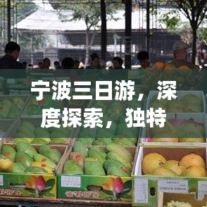 寧波三日游，深度探索，獨(dú)特體驗(yàn)之旅