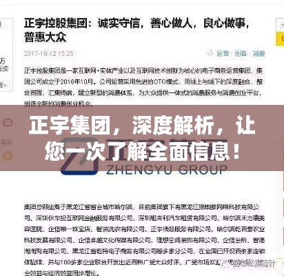 正宇集團，深度解析，讓您一次了解全面信息！