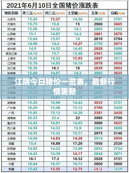 江陰今日豬價一覽表，最新行情更新