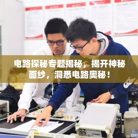 電路探秘專題揭秘，揭開神秘面紗，洞悉電路奧秘！