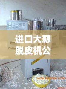進(jìn)口大蒜脫皮機(jī)公司排行榜揭曉，權(quán)威排名一網(wǎng)打盡！