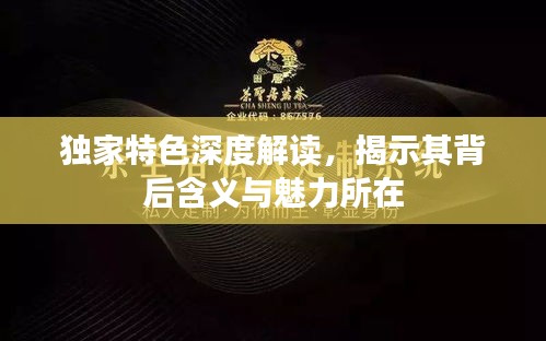 獨(dú)家特色深度解讀，揭示其背后含義與魅力所在