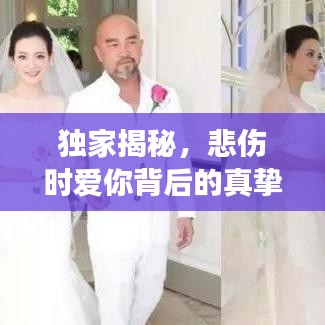 獨家揭秘，悲傷時愛你背后的真摯情感故事