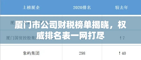 廈門市公司財稅榜單揭曉，權(quán)威排名表一網(wǎng)打盡